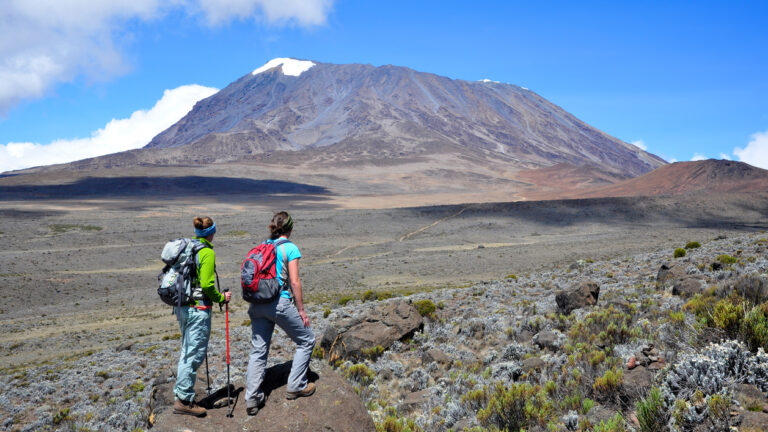 Climbing Kilimanjaro via the Lemosho Route.