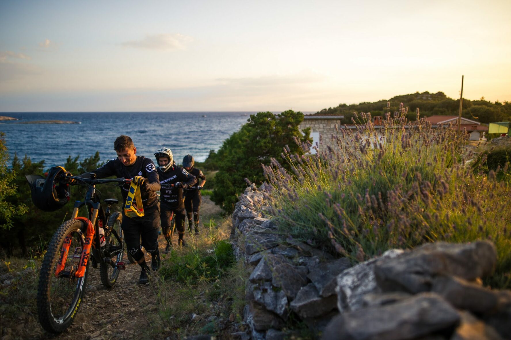 Coastline with lavender and sea views