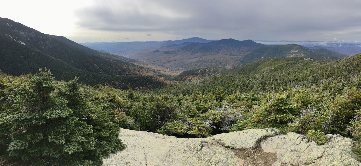 View of the forest from one of the Mount Washington lookouts