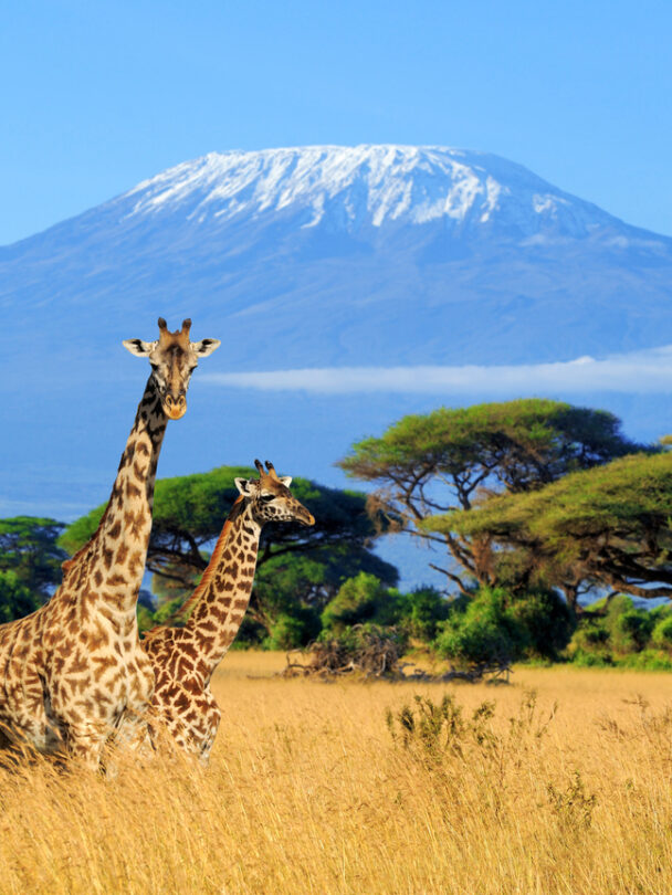 Climbing Kilimanjaro via the Machame Route.