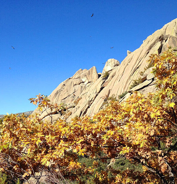 A woman hiking in the Guadarrama Mountains