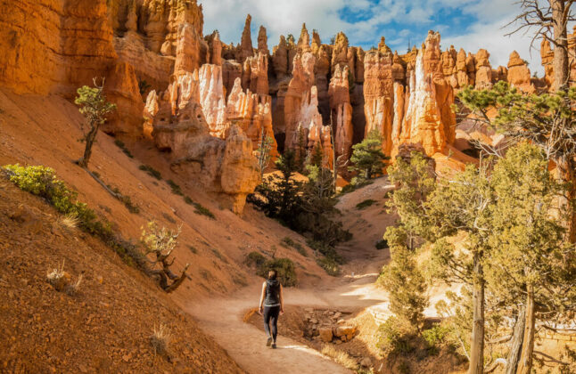 Guided hiking in Bryce Canyon National Park