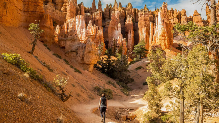 Guided hiking in Bryce Canyon National Park