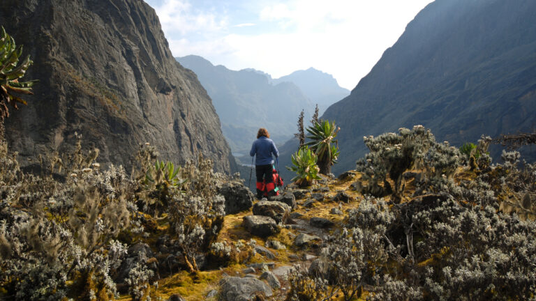 Guided Hiking in the Rwenzoris Mountains, Uganda
