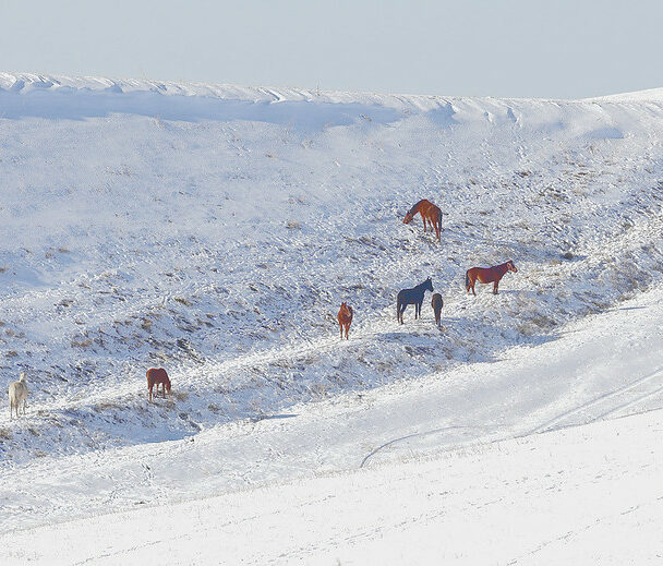 Skiers in the Kyrgyzstan backcountry