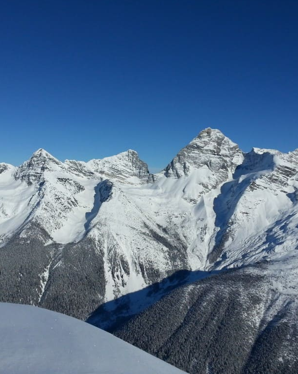 Snowy meadows around Canadian Rockies