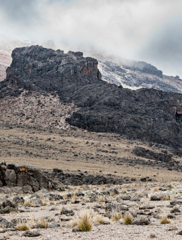 Climbing Kilimanjaro via the Lemosho Route.