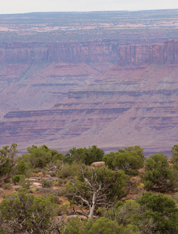 Guided Mountain Biking in Dead Horse Point