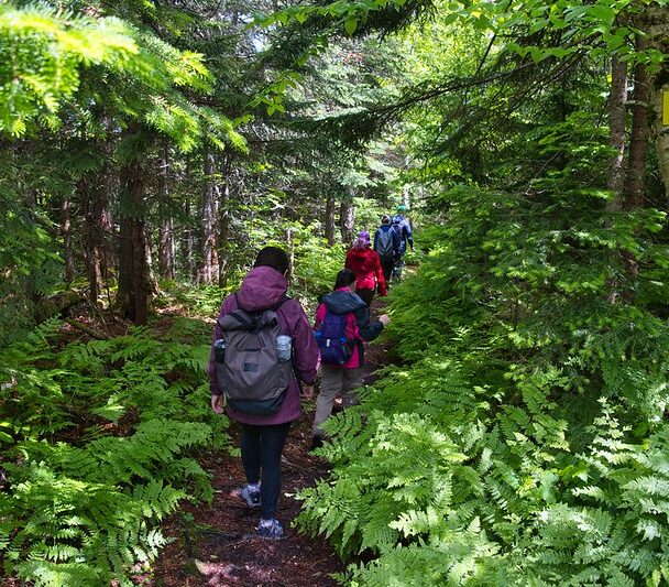 Hiking in New Hampshire