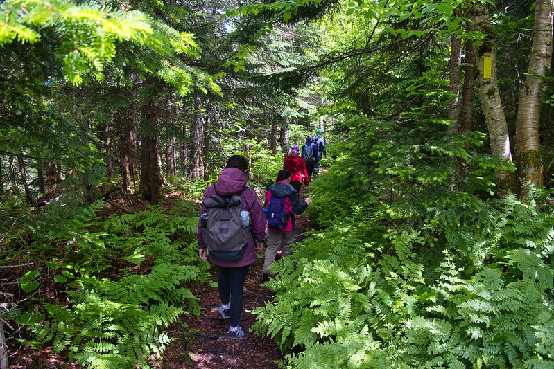 Some hikers in a line in New Hampshire