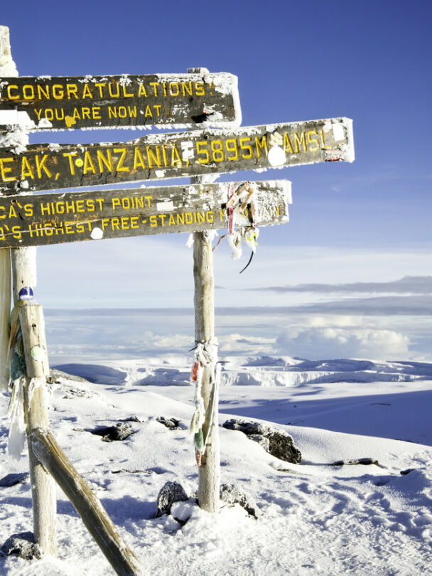 Climbing Kilimanjaro via the Lemosho Route.