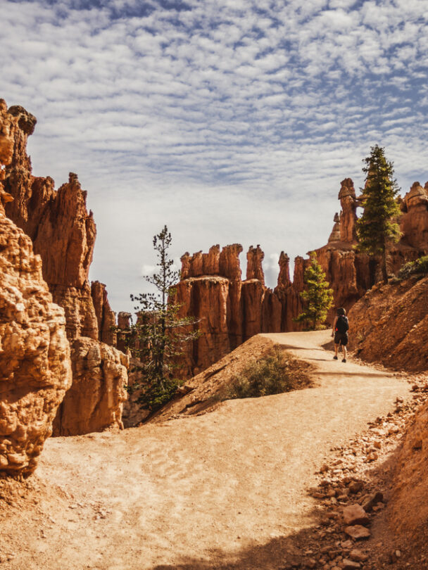 Guided hiking in Bryce Canyon National Park
