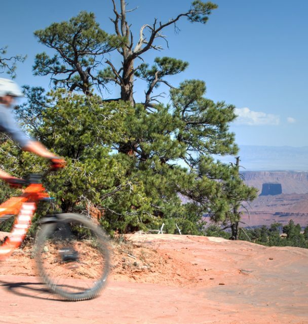 Mountain biking in Porcupine Rim