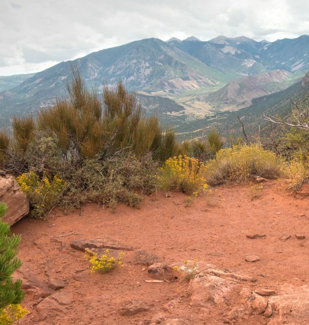 Mountain biking in Porcupine Rim
