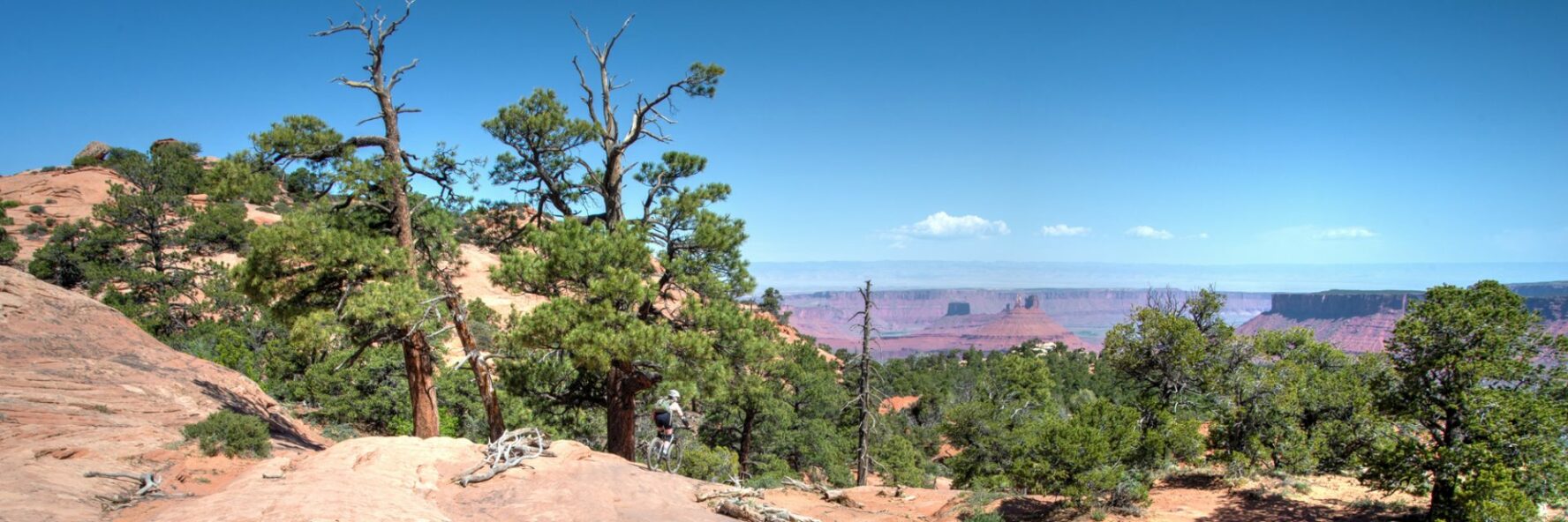 A vista on the Porcupine Rim