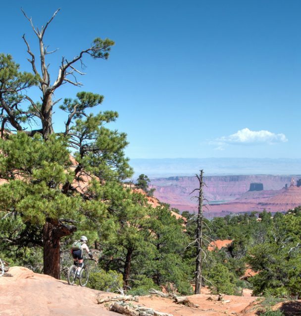 Mountain biking in Porcupine Rim