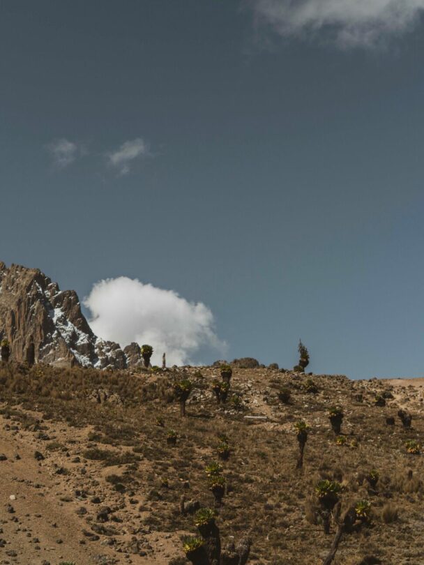 Hiking the Timau Route in Kenya