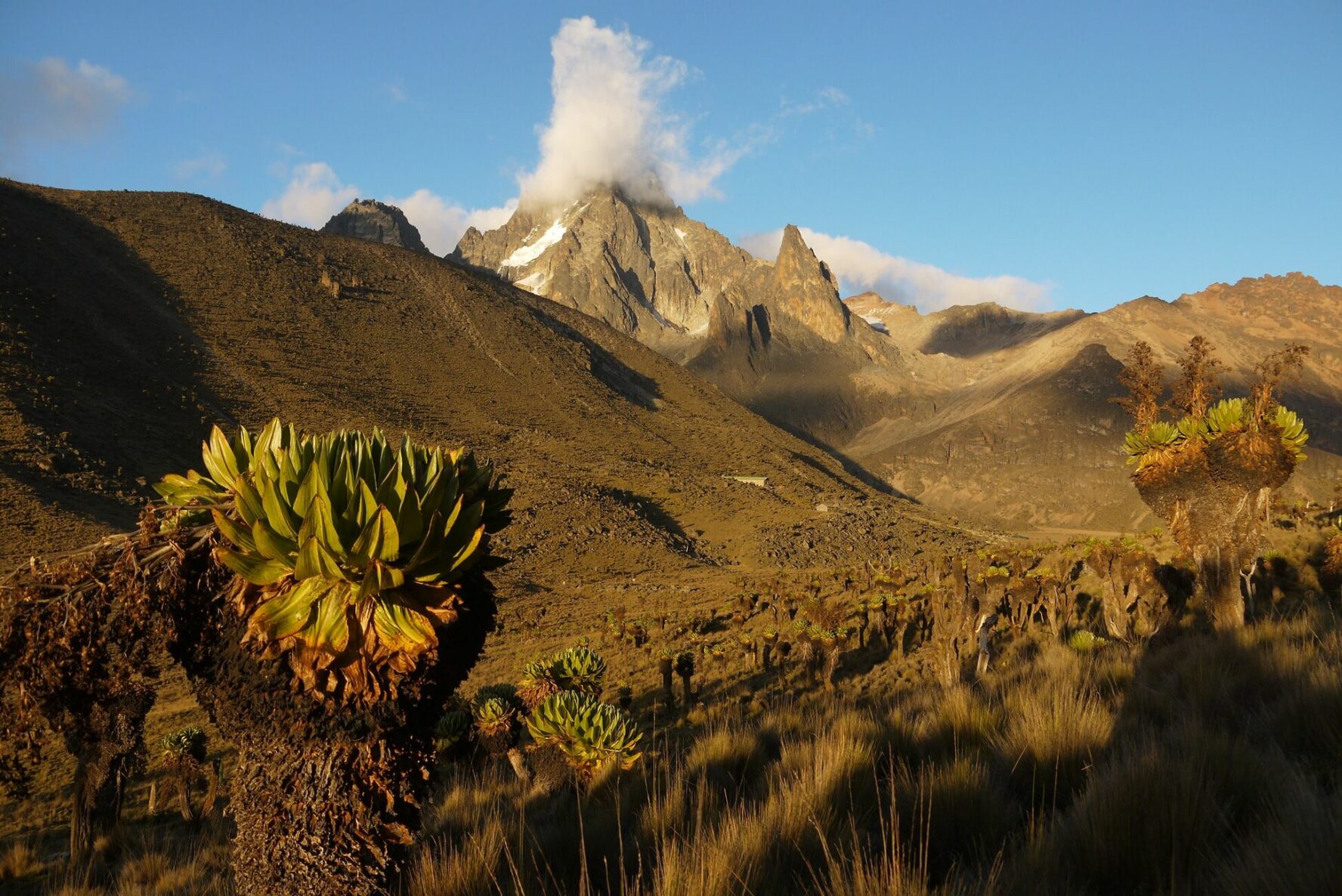The Teleki valley on the Timau route