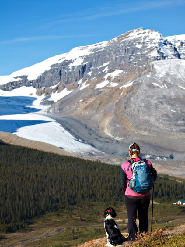 Trekking in the Plain of the Six Glaciers