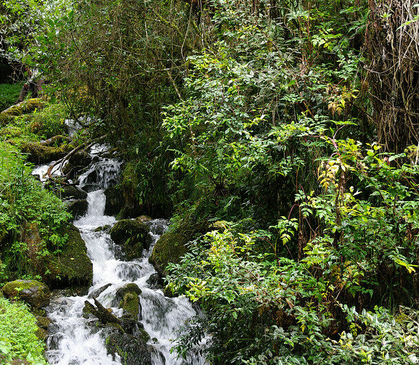 Woman standing in front of Machu Picchu