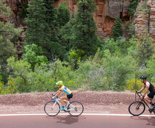 Biking and hiking tour in Zion