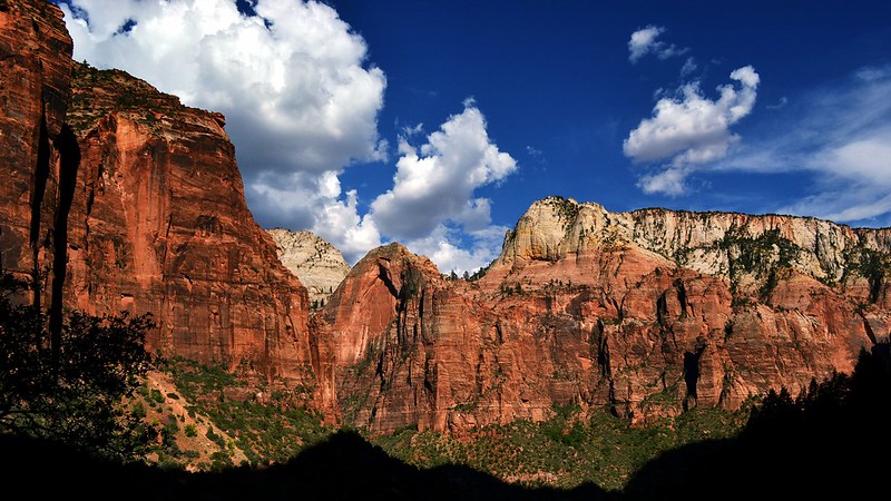 A shot of the cliffs in Zion Canyon