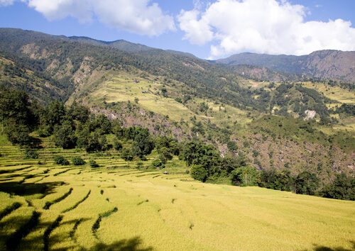 Guided Hiking of the Annapurna Circuit Trek