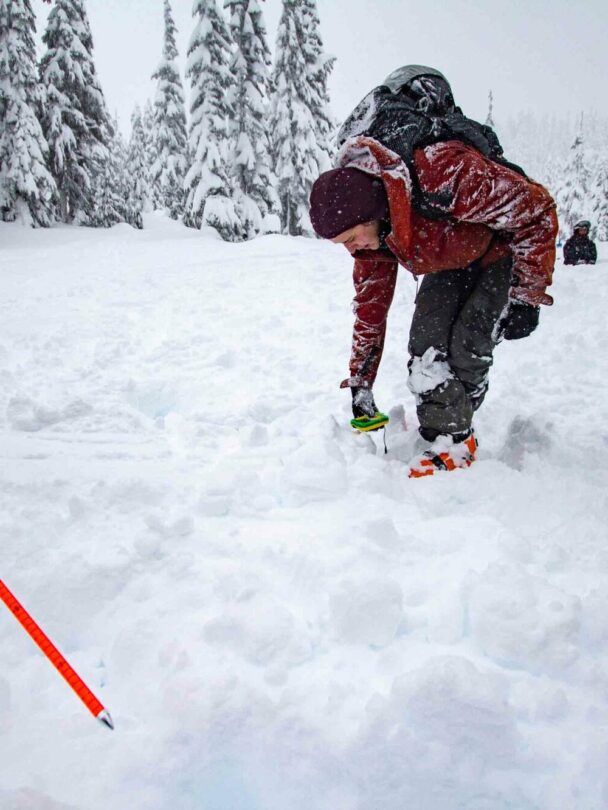 AST Level 2 Course in Squamish, BC