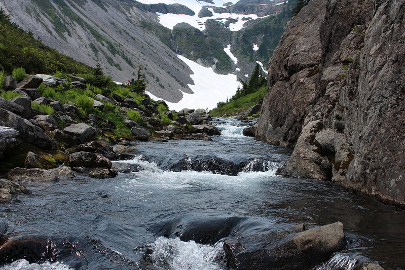 A creek near Mount Baker