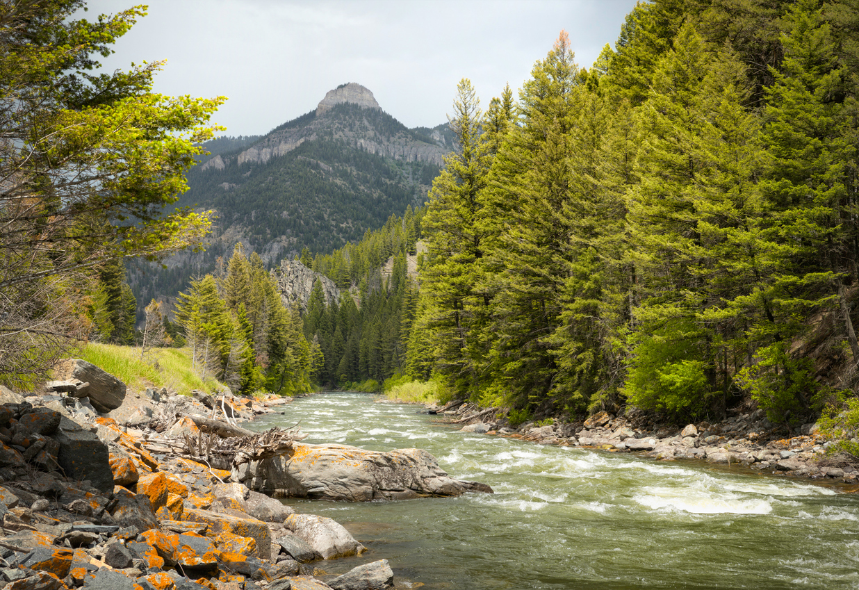 A river in the Gallatin Valley