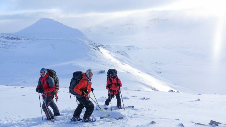 Ski Touring in the Bow Yoho Traverse