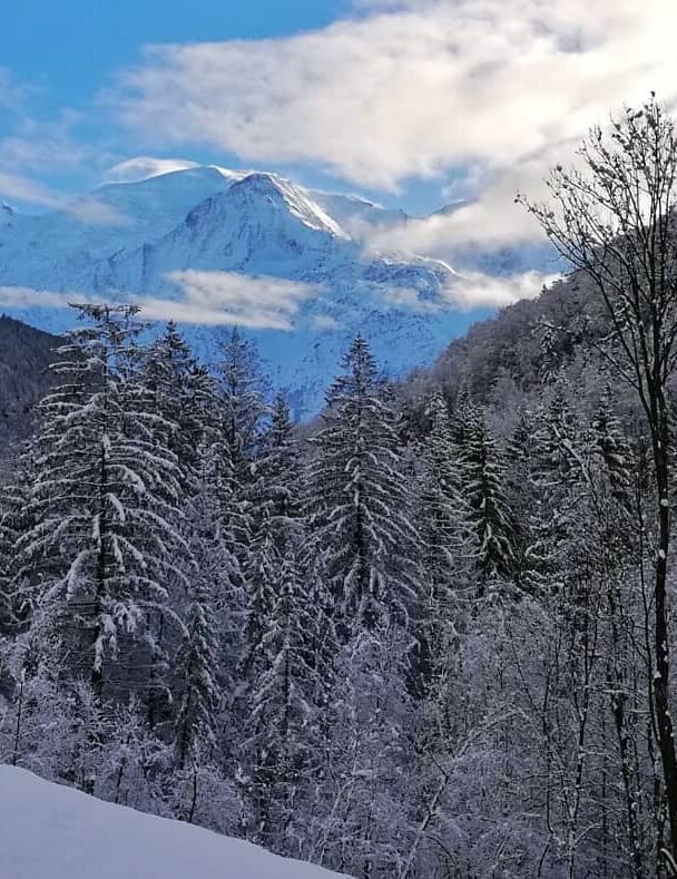 Rock Climbing Basics Course in Chamonix