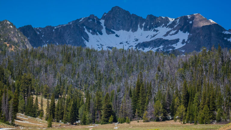 Hiking in Bozeman’s Hyalite Mountains