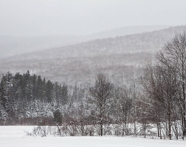 Mountaineering Tour of the Presidential Traverse
