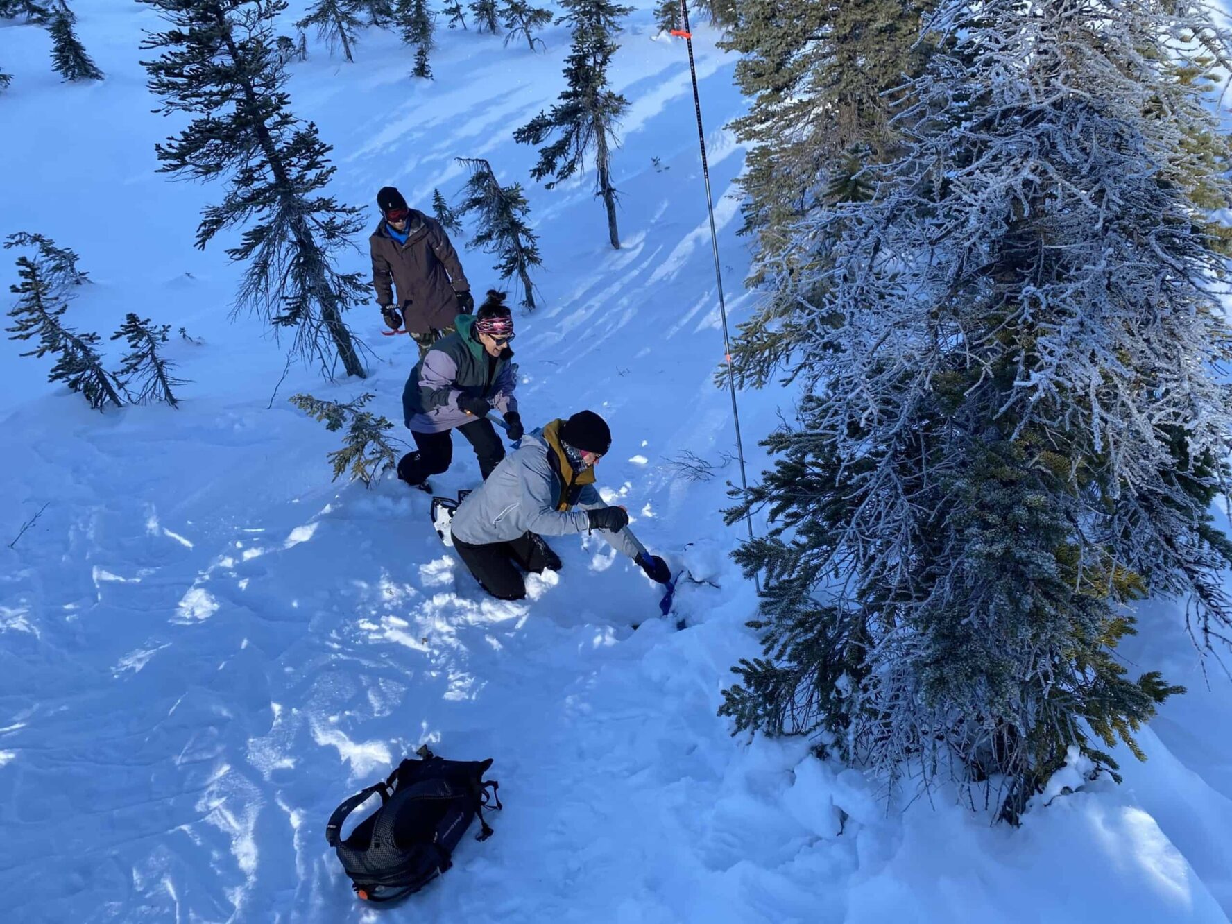Course participants digging in the Canadian Rockies