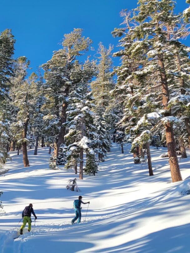 Women’s AIARE Avalanche Courses in Lake Tahoe
