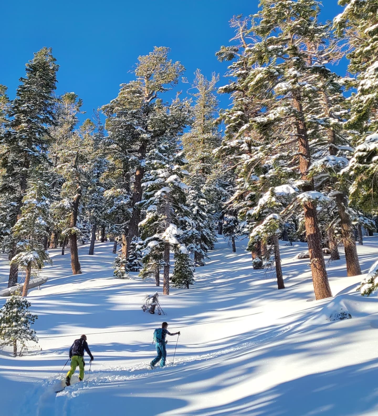 AIARE course participants ascending a slope on Lake Tahoe
