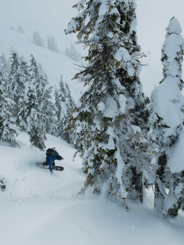Heli-Accessed Ski Touring in the Tantalus Range