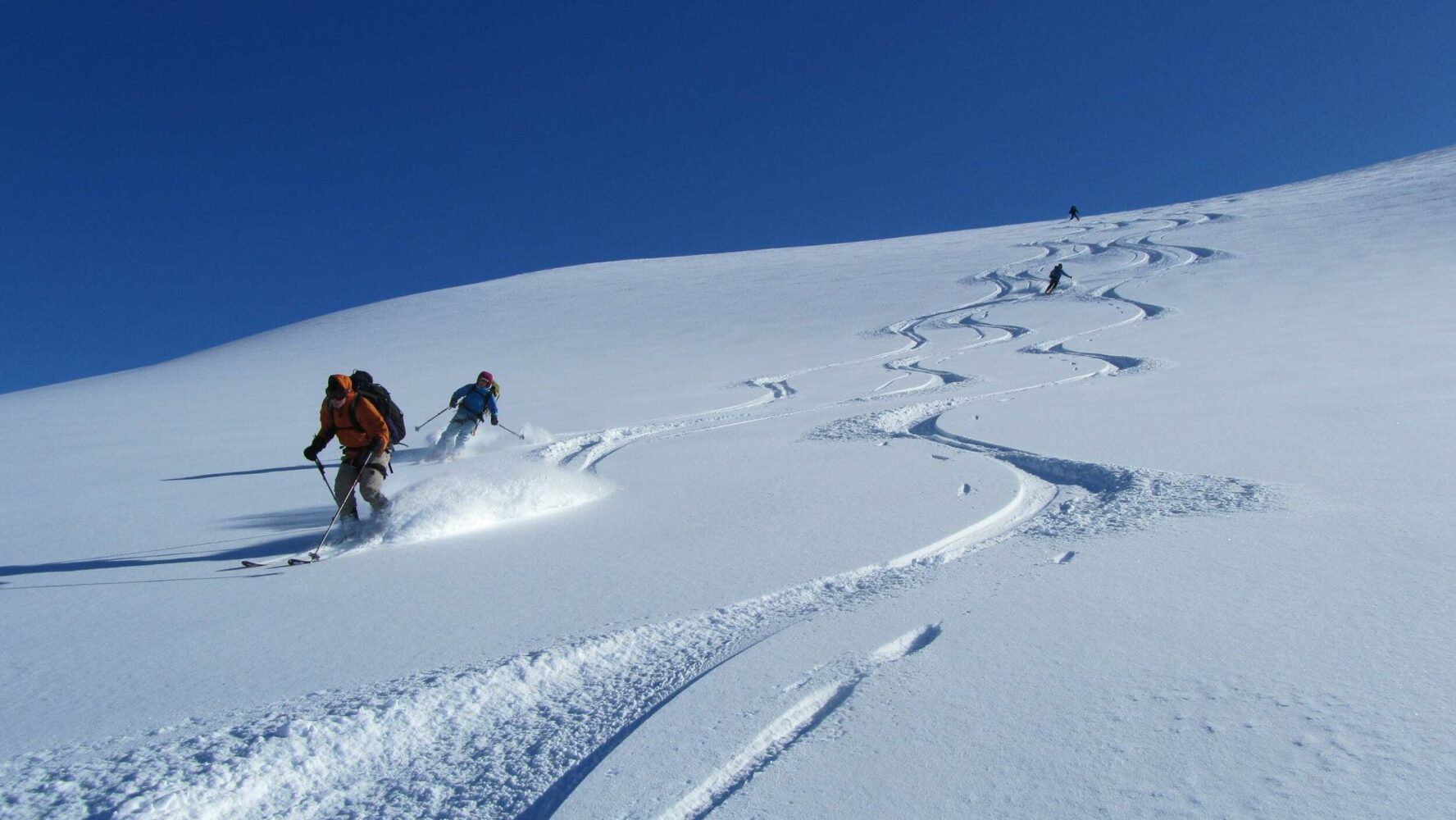 Descent down a slope on the Wapta Traverse