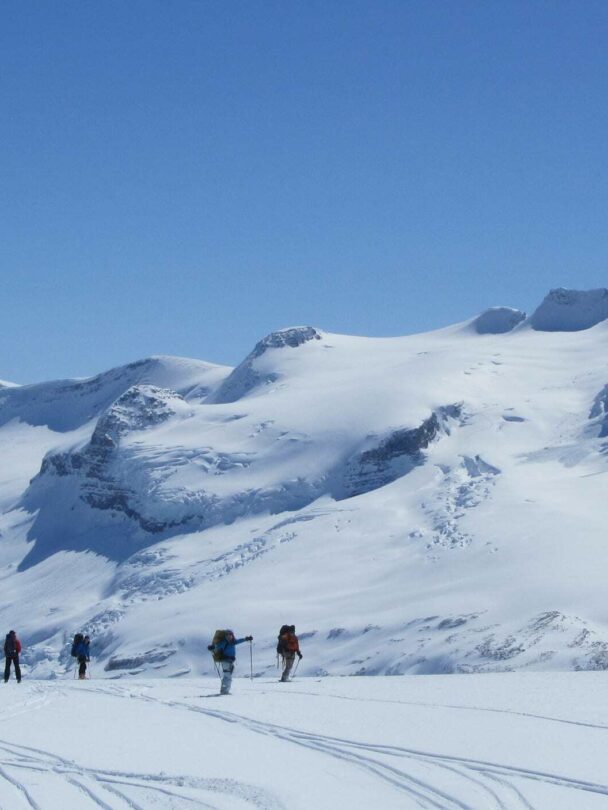 Ski Touring in the Wapta Traverse