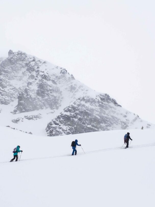 AST Level 1 Avalanche Course in Whistler, BC