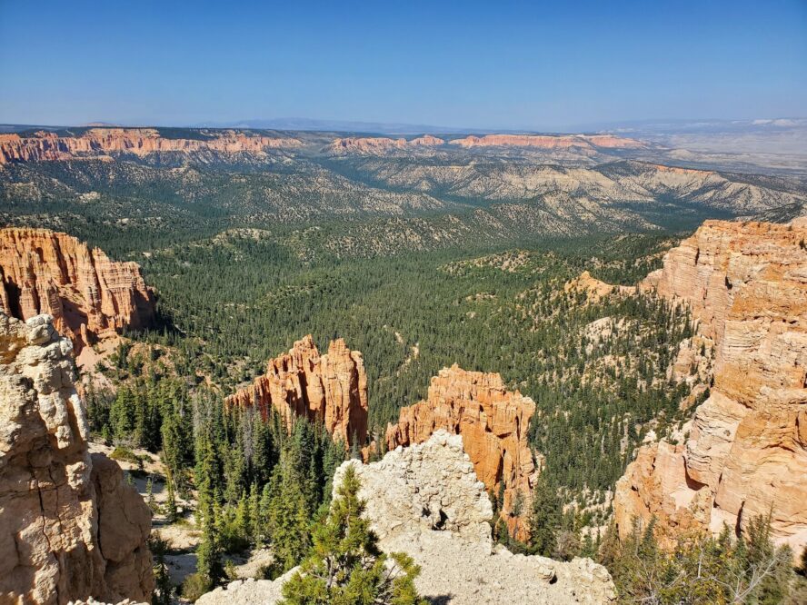 The Bristlecone Loop hiking trail weaves through aged bristlecone pine forests