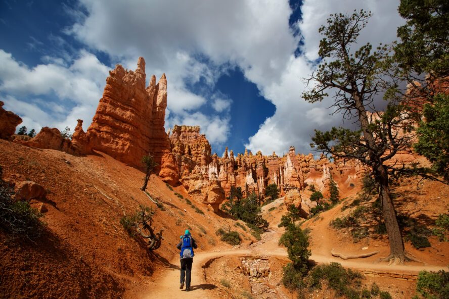 Bryce Canyon is actually not a canyon at all, rather, its hiking trails wander through a collection of giant natural amphitheaters