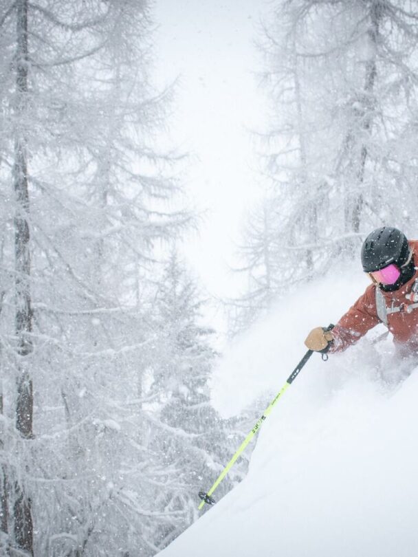 Avi Companion Rescue Course near Seattle, Washington