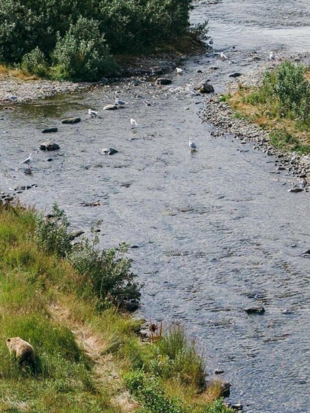 Fast packing in Lake Clark National Park, Alaska