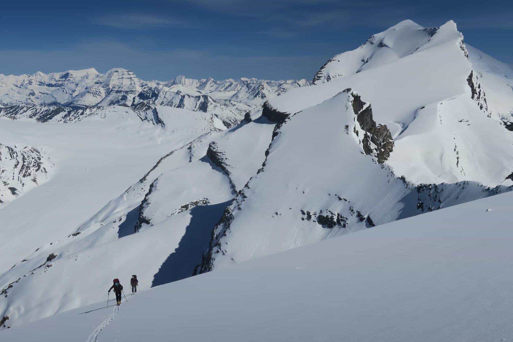Ski Tourers on Whitehorn Spring, Cariboo Mountains