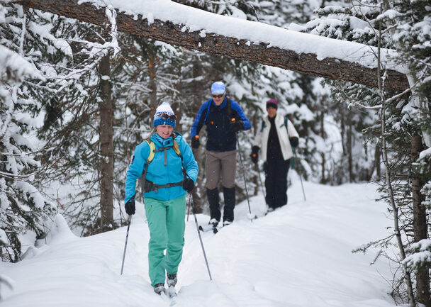 Cross-Country Skiing in Crested Butte