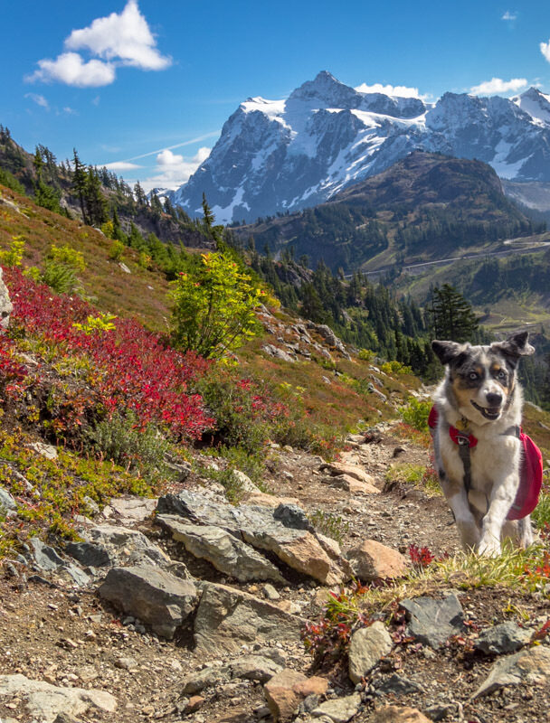 Light Backpacking in the North Cascades, Washington