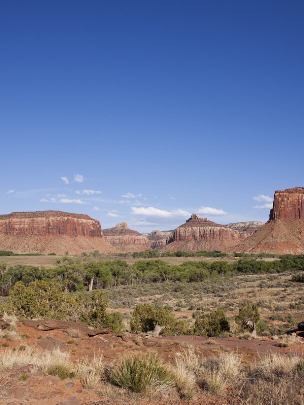 Women's Crack Climbing Retreat in Indian Creek