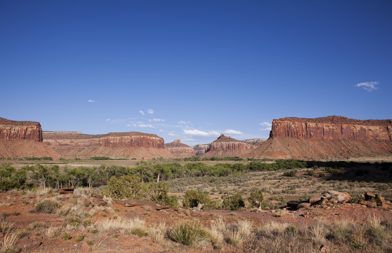A barren landscape in Indian Creek